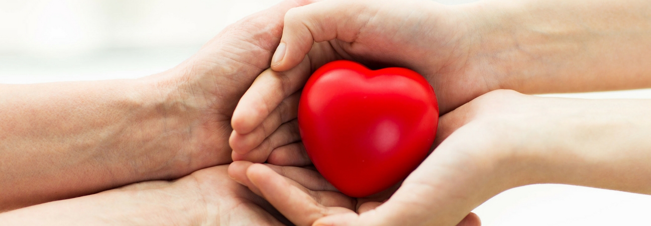 two hands holding a red heart giving to charity and nonprofit